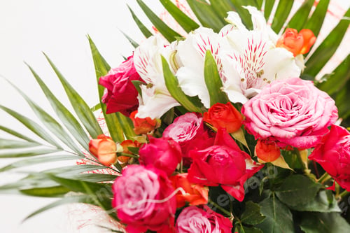 Preview: Nice Flowers