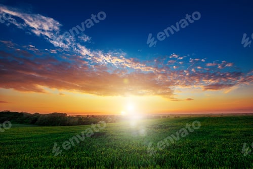 Preview: Green Field And Beautiful Sunset