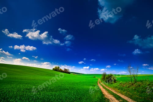 Preview: Green Field And Beautiful Sunset