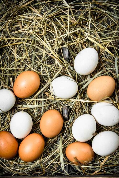 Preview: Fresh Chicken Eggs On An Old Tray. On A Rustic Background.