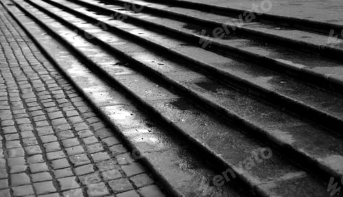 Preview: Stairway With Granite Stone Steps After Rain. Black And White.