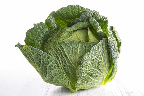 Preview: Cabbage