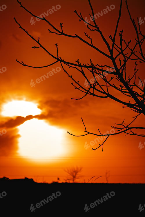Preview: Beautiful Sunset Is In The Field