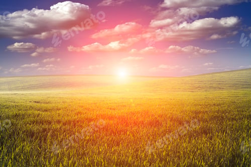 Preview: Green Field And Beautiful Sunset