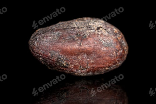 Preview: One Whole Fresh Brown Cocoa Bean Isolated On Black Glass