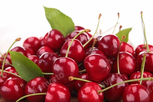 Preview: Cherry Fruit