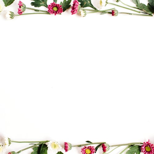 Preview: Frame Wreath With Red And White Wildflowers, Green Leaves, Branches On White Background. Flat Lay