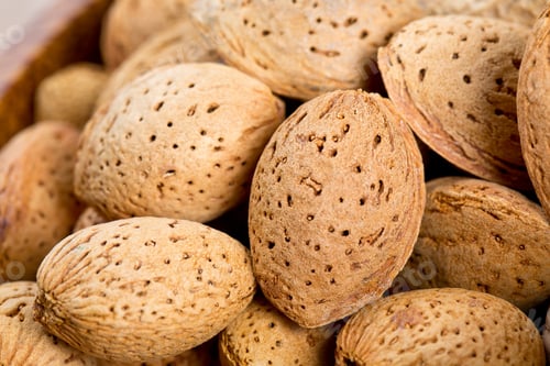 Preview: Shelled Almonds Background