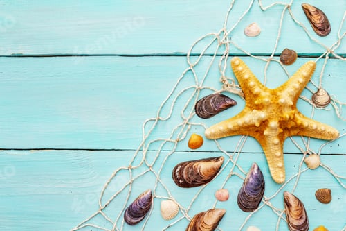 Preview: Seashells Summer Background. Lots Of Different Seashells Piled Together, Mussels, Starfish, Fishnet