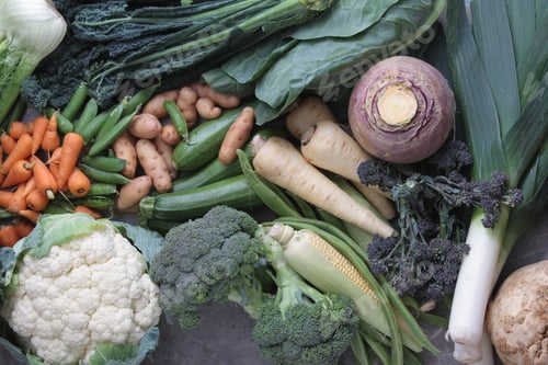 Preview: Vegetable Selection Background