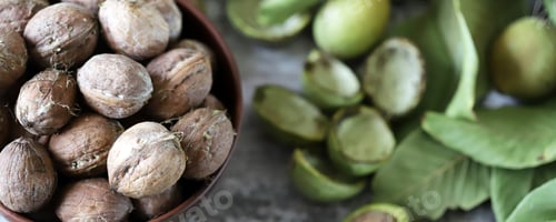 Preview: Walnuts. Harvest Walnuts. Selective Focus. Macro.