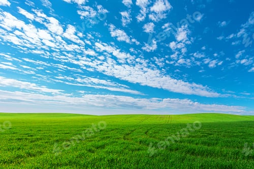 Preview: Green Field And Beautiful Sunset