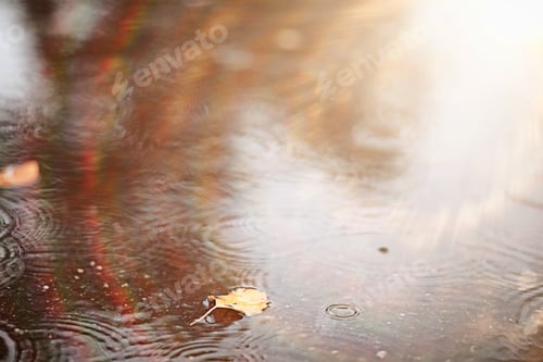 Preview: Autumn Rain In The Park During The Day