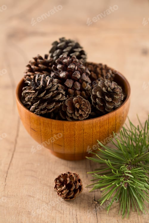 Preview: Pine Cones And Needles