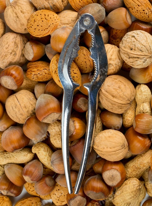 Preview: Collection Of Shelled Nuts And Nutcracker