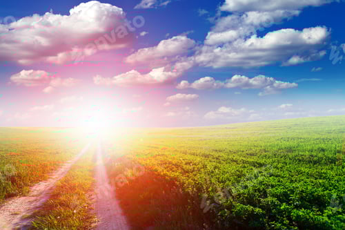 Preview: Green Field And Beautiful Sunset