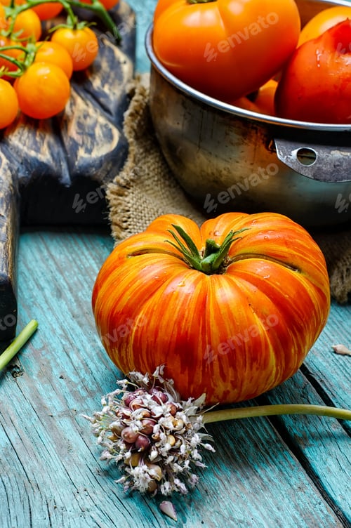 Preview: Harvest Of Summer Tomatoes.Tomato,Pepper And Cucumbers From The Summer Harvest On Wooden Background