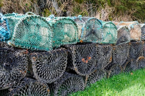 Preview: Fishing Pots Net Baskets For Lobster Shellfish And Fish Creels In St Andrews