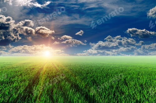 Preview: Green Field And Beautiful Sunset