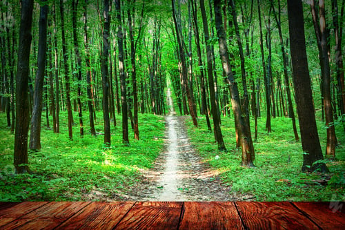 Preview: Wood Textured Backgrounds In A Room Interior On The Forest Backgrounds