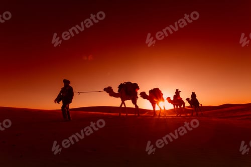 Preview: Camel Caravan Going Through The Desert