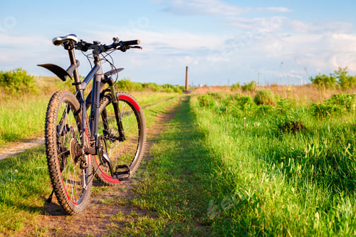 Preview: Mountain Biking Down Hill Descending Fast On Bicycle. View From Bikers Eyes.