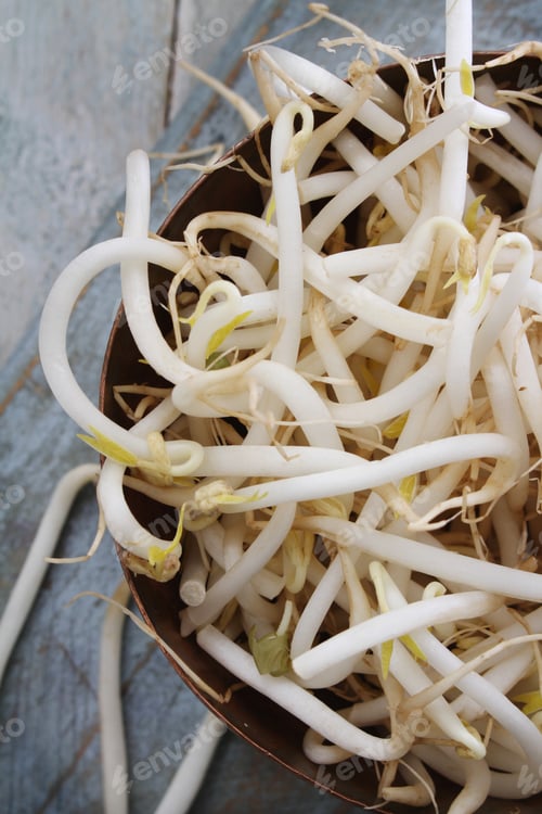 Preview: Preparing Bean Sprouts