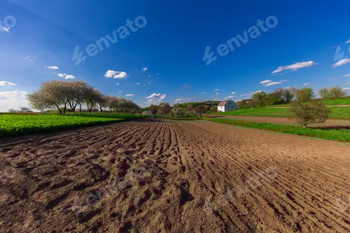 Preview: Green Field And Beautiful Sunset