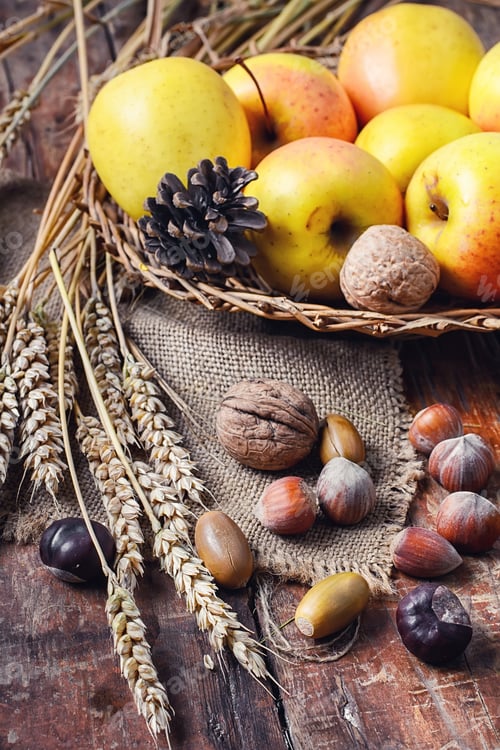 Preview: Autumn Still Life With Apples And Nuts.Autumn Harvest Of Apples In Still Life With Nuts,Ears Of
