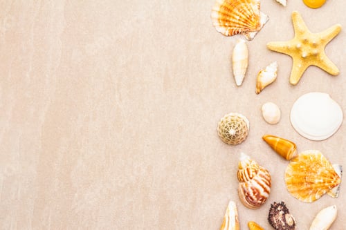 Preview: Seashells Summer Background. Lots Of Different Seashells Piled Together. For Card, Frame, Flat Lay