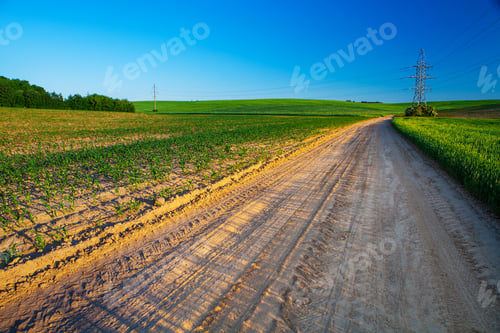 Preview: Green Field And Beautiful Sunset