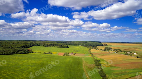 Preview: Aerial View Of The Vegetable Field From Drone