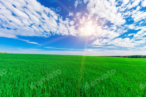Preview: Green Field And Beautiful Sunset
