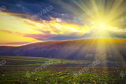 Preview: Beautiful Spring Field With The Blue Sky