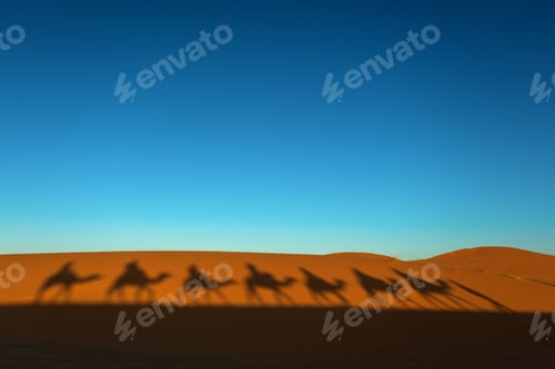 Preview: Shadows Of Camel Caravan Going Through The Desert At Sunset.