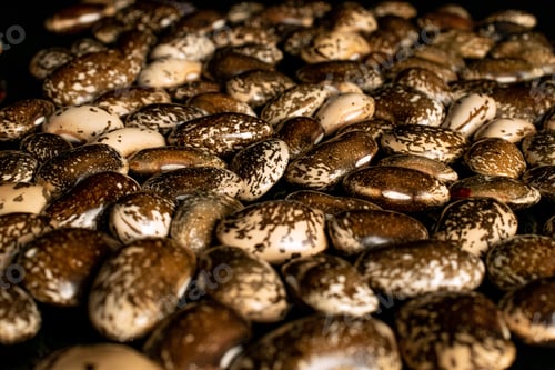 Preview: Lot Of Whole Organic Speckled Brown Bean Pinto Isolated On Black Glass
