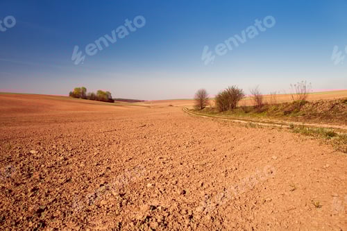 Preview: Green Field And Beautiful Sunset