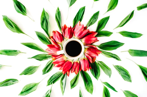 Preview: Cup Of Coffee With Red Tulip Flower Buds And Leaves. Flat Lay, Top View