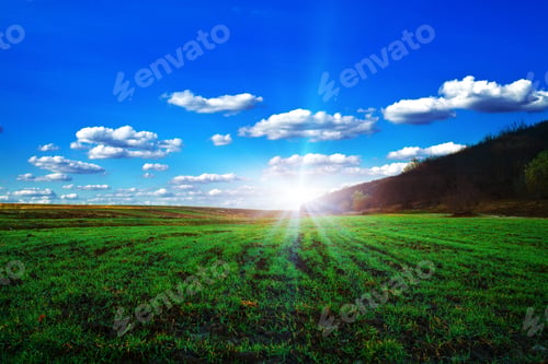 Aperçu: Green Field And Beautiful Sunset