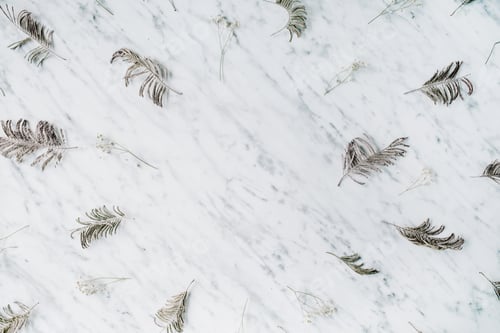 Preview: Frame With Branches On Marble Background. Flat Lay, Top View Office Table