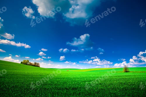 Preview: Green Field And Beautiful Sunset