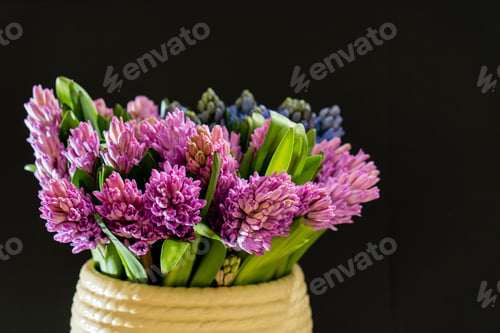 Preview: Nice Spring Flowers