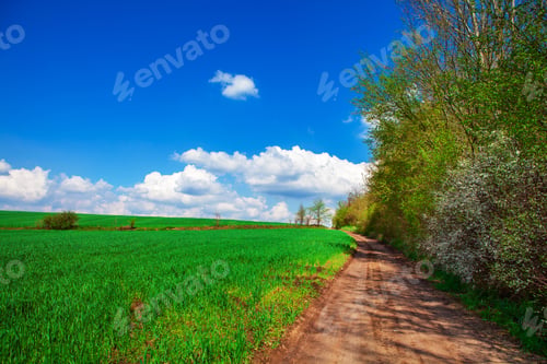 Preview: Green Field And Beautiful Sunset