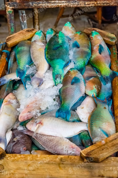 Preview: Different Fish On Fish Market In Hurghada City, Egypt