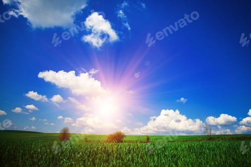Preview: Green Field