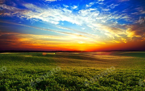 Preview: Green Field And Beautiful Sunset