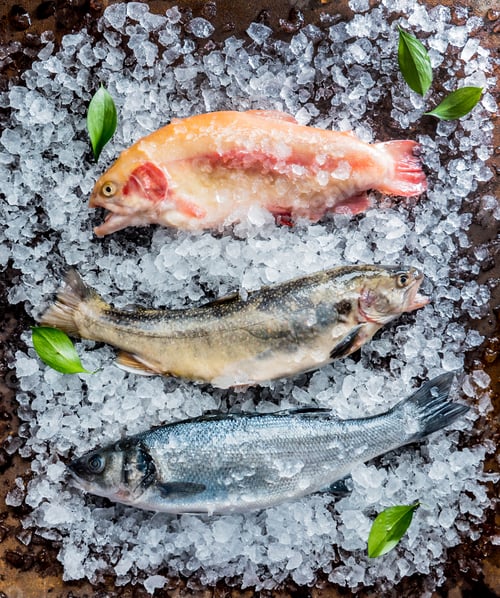 Preview: Fresh Fish