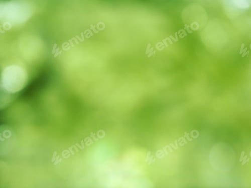 Preview: Abstract Nature Spring Background Blurred Green Yellow Leaves