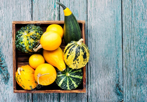 Preview: Beautiful Autumn Seasonal Background With Pumpkins In Box.Autumn Harvest.
