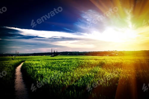 Preview: Green Field